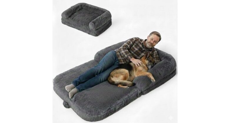 Bedsure Dog Bed Review: The Best Ultra-Budget Option?