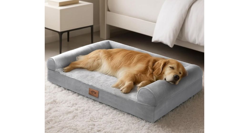 Best Chew-Proof Dog Beds: Beds That Actually Survive