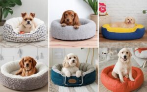 Best Dog Beds for Small Dogs: Tested With Our Frenchie