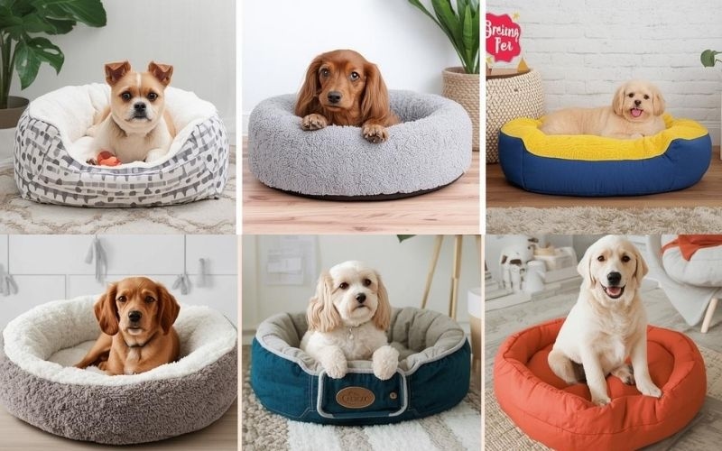 Best Dog Beds for Small Dogs: Tested With Our Frenchie