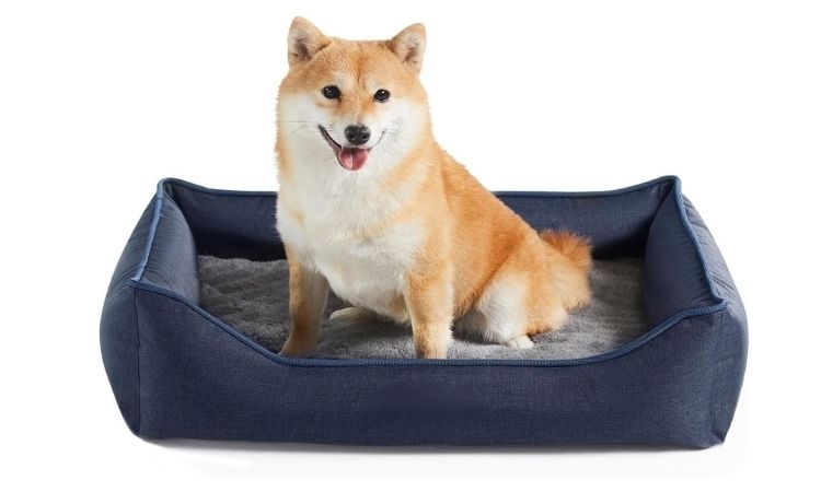 Best Medium Dog Beds: Perfect Fit for 25-50 lb Dogs