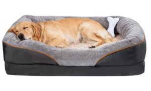 Best Memory Foam Dog Beds 2025: Premium Support for Your Dog