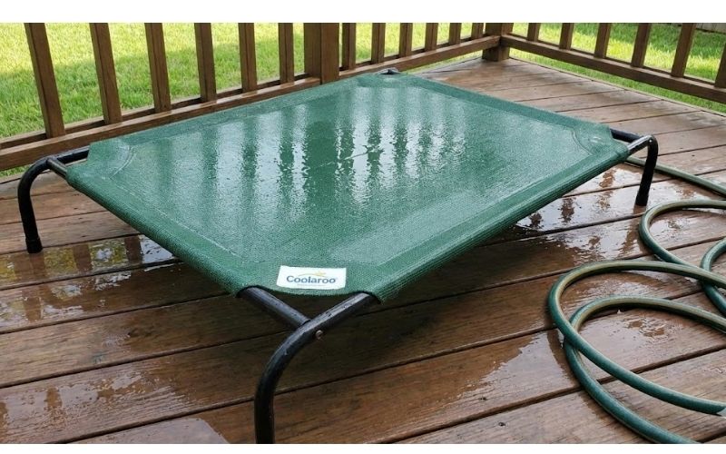 Coolaroo Elevated Cot – Budget Easy-Clean