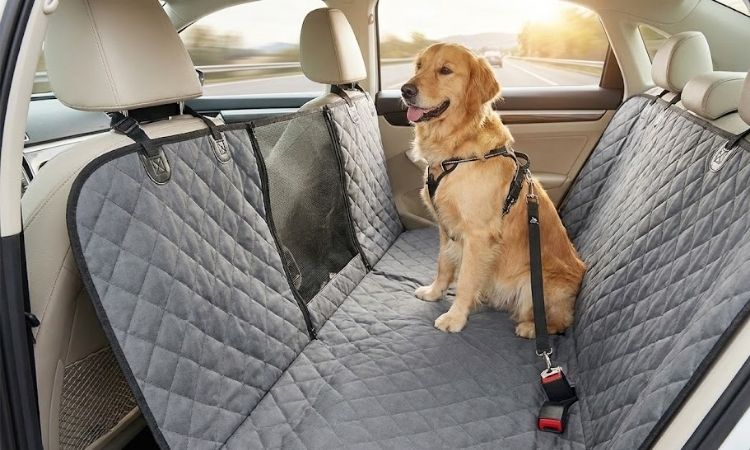 Best Dog Beds for Cars: Safe and Comfortable Travel