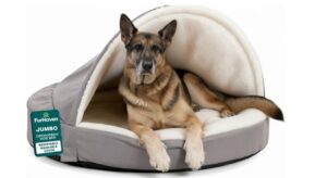 FurHaven Dog Bed Review: Best Value Orthopedic Bed?