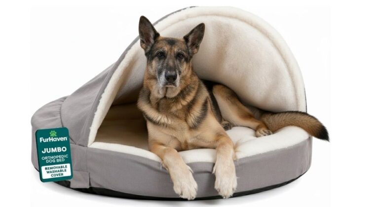 FurHaven Dog Bed Review: Best Value Orthopedic Bed?