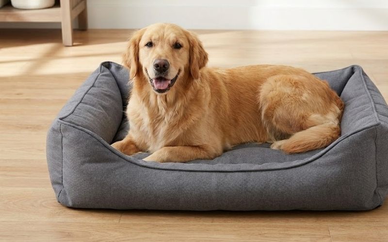 How to Clean a Dog Bed: Complete Guide (Step-by-Step)