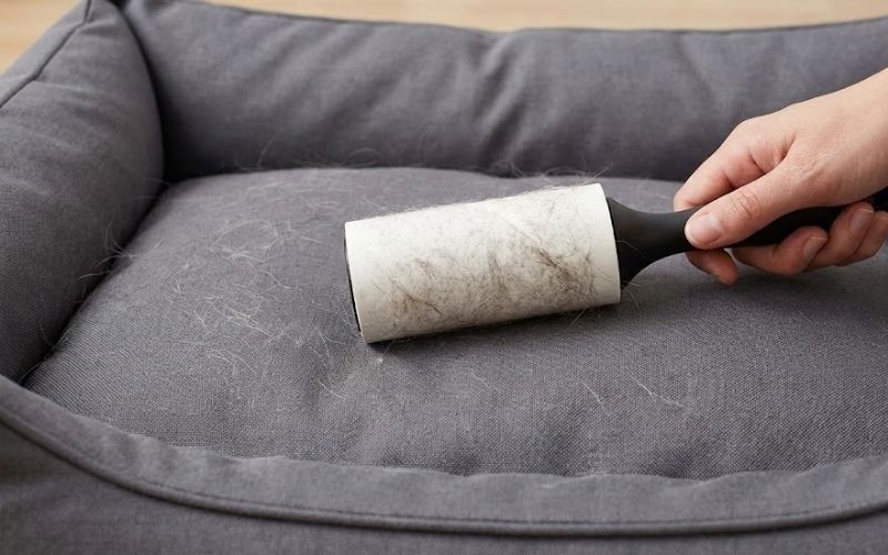 Remove Loose Hair and Debris