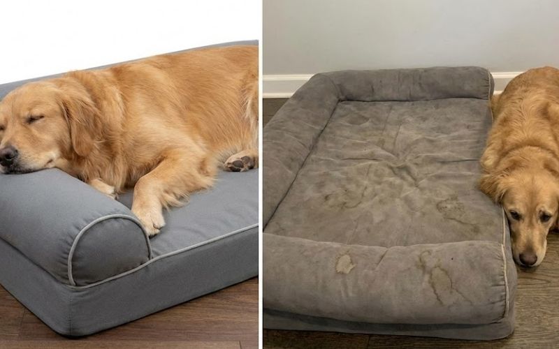 The most common reason to replace a bed