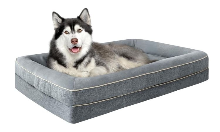 Best Extra Large Dog Beds : For Dogs 90+ lbs