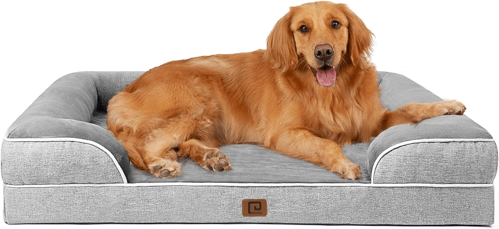 Best Memory Foam Dog Beds: Detailed Reviews