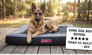 Kong Dog Bed Review: Does the Toy Brand Make Good Beds?