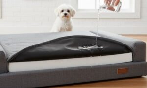 Best Waterproof Dog Beds 2025: Protection Against Accidents and Spills