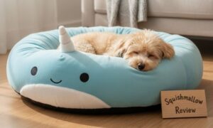 Squishmallow Dog Bed Review: Is the Viral Bed Worth It?